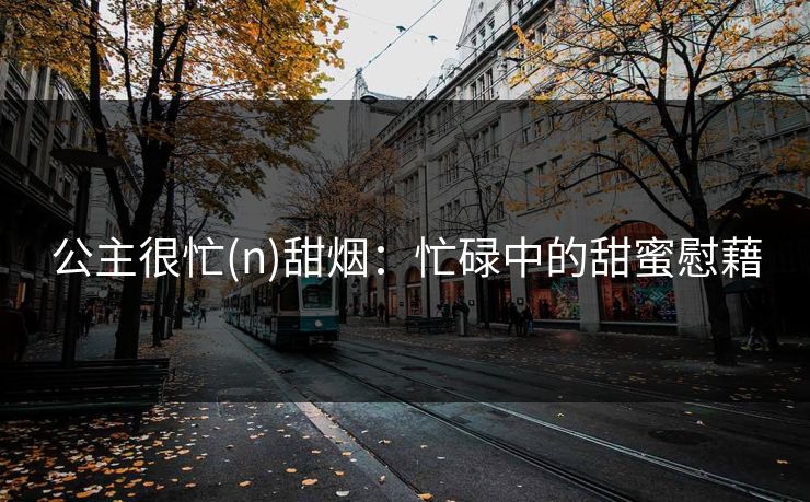 公主很忙(n)甜烟：忙碌中的甜蜜慰藉