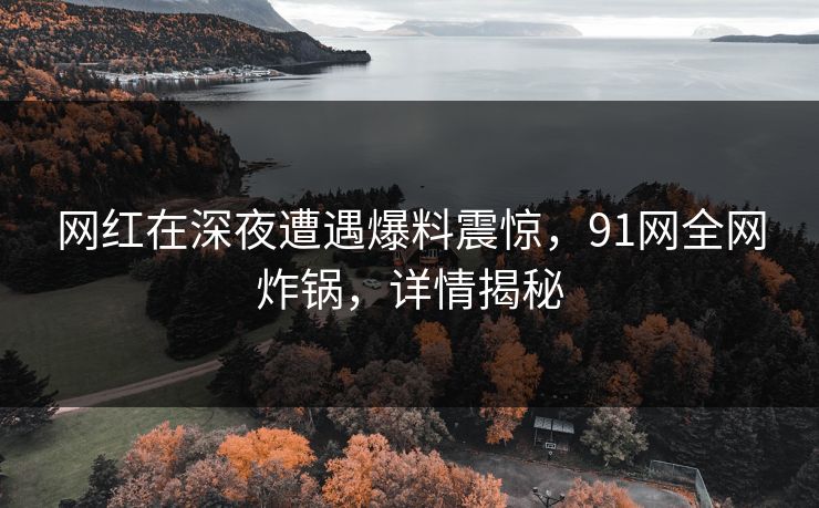 网红在深夜遭遇爆料震惊，91网全网炸锅，详情揭秘