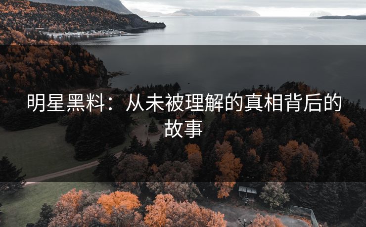 明星黑料：从未被理解的真相背后的故事