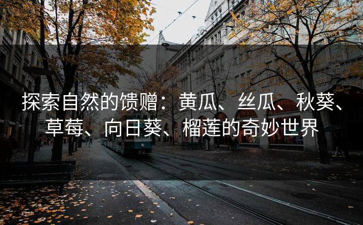 探索自然的馈赠:黄瓜、丝瓜、秋葵、草莓、向日葵、榴莲的奇妙世界 探索自然的馈赠:黄瓜、丝瓜、秋葵、草莓、向日葵、榴莲的奇妙世界