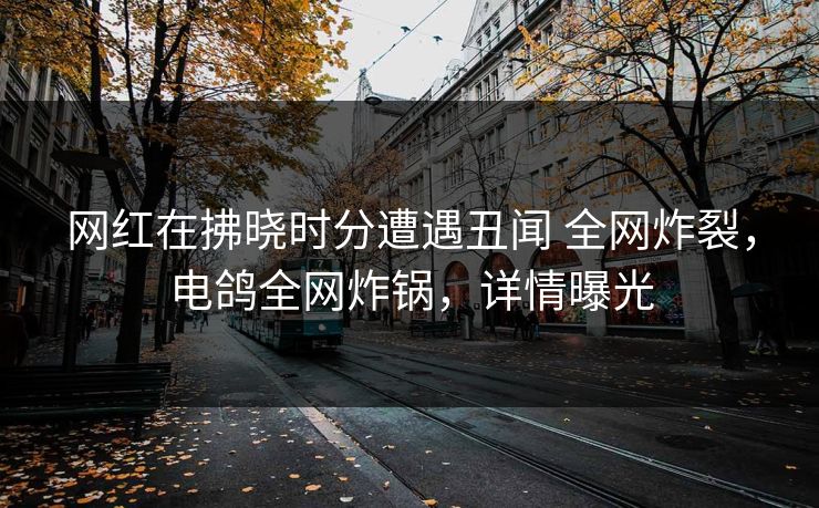 网红在拂晓时分遭遇丑闻 全网炸裂,电鸽全网炸锅,详情曝光 网红在拂晓时分遭遇丑闻 全网炸裂,电鸽全网炸锅,详情曝光